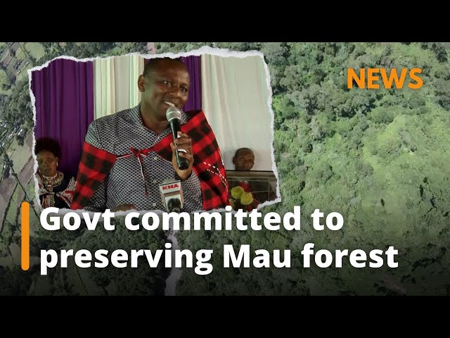 Govt committed to preserving Maasai Mau forest