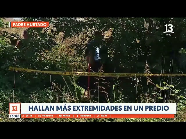 Confirman hallazgo de restos de cadera y pelvis en Padre Hurtado