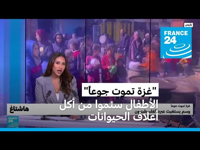 ⁣#غزة_تموت_جوعاً : فقر الدم يتفشى في مخيم جباليا و الأطفال سئموا من أكل أعلاف الحيوانات