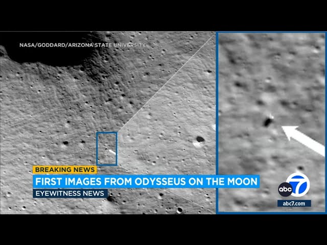 First image of Odysseus on the moon released after historic landing