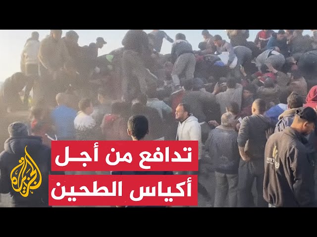 شاهد.. تدافع عدد من سكان مدينة غزة للحصول على أكياس طحين