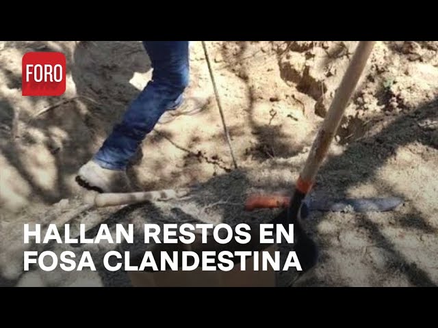 Localizan 113 restos óseos en fosa clandestina en Los Cabos, Baja California Sur - Las Noticias