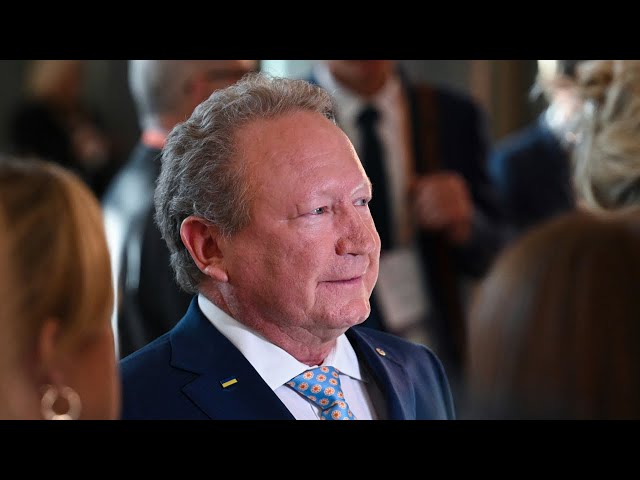 Andrew Forrest ‘riding two horses at the same time’ with green energy push