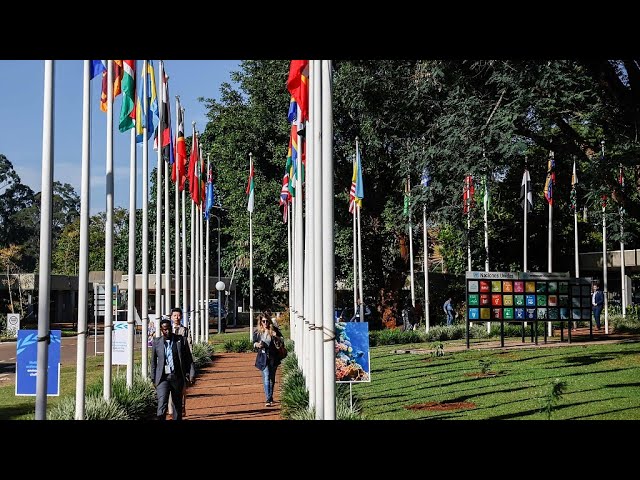 La 6e session de l'Assemblée des Nations Unies pour l'environnement débute à Nairobi
