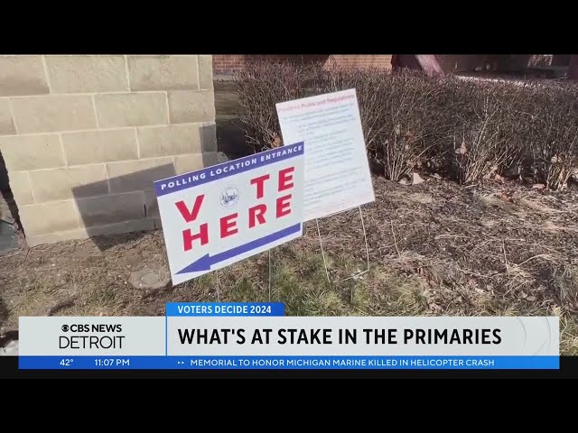 What's at stake for the Michigan primary election? What to know