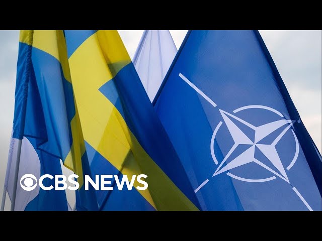 Hungary clears way for Sweden to join NATO