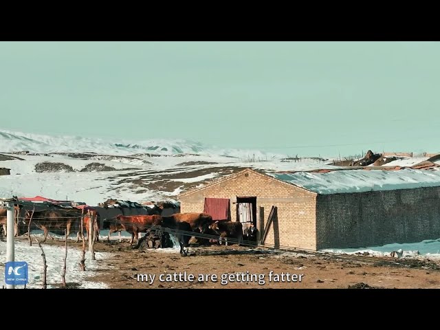 A herdsman's "winter home" nestled in Bawzader pasture, Xinjiang