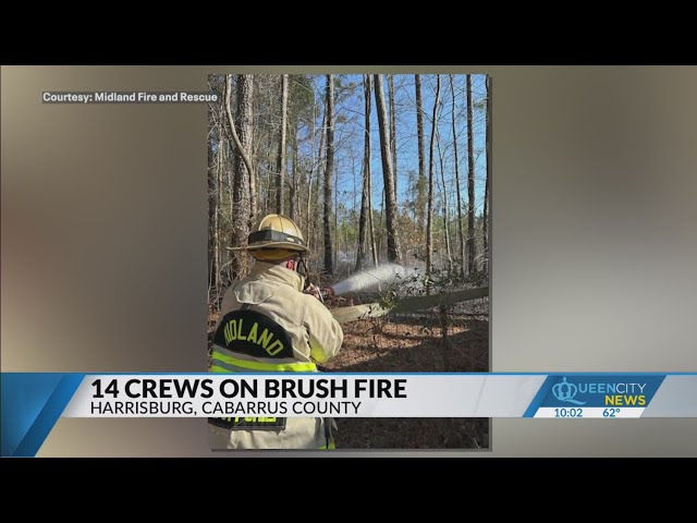 Crews contain major brush fire in Harrisburg