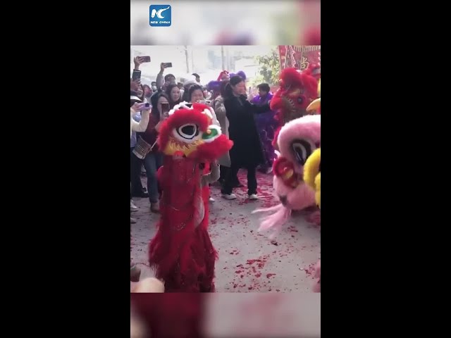 "Lion cub" joins lion dance show in S China