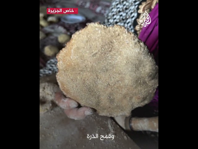 معاناة أسرة فلسطينية تضطر لأكل أعلاف الحيوانات بسبب وقف المساعدات في شمال غزة