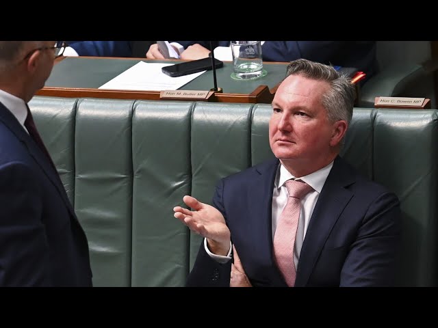 ‘I don’t think that’s quite right’: Ross Greenwood criticises Chris Bowen’s nuclear stance