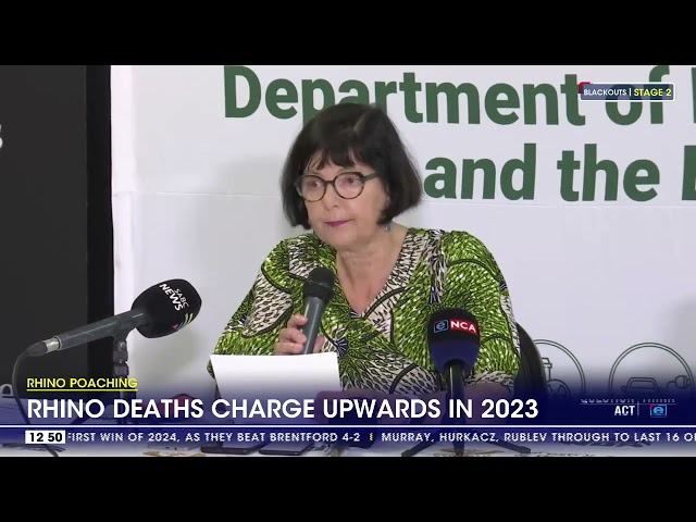 Rhino deaths charge upwards in 2023