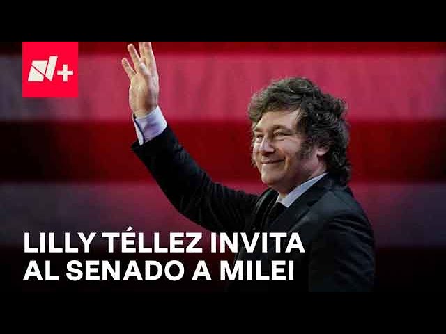 Senado invita a Javier Milei, presidente de Argentina, a diálogo con legisladores - Despierta