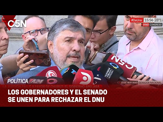 Aseguran que en el SENADO están los VOTOS para RECHAZAR el DNU de MILEI