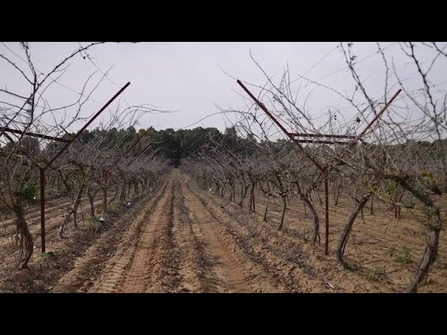 Un agriculteur raconte son combat héroïque du 7 octobre