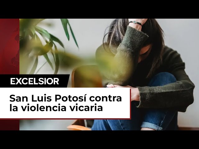 San Luis Potosí contra la violencia vicaria