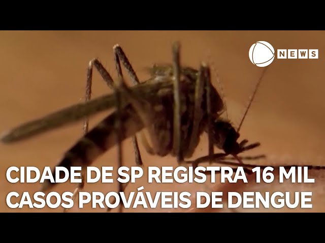 Cidade de São Paulo registra 16 mil casos prováveis de dengue