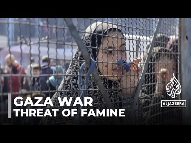 Gaza food crisis: Threat of famine for 576,000 Palestinians