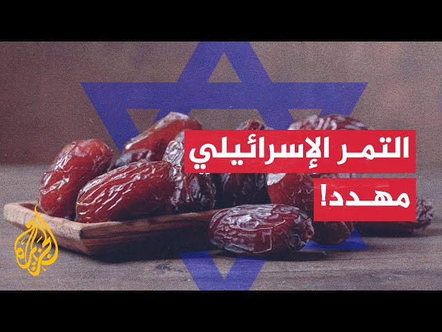 مع قدوم شهر رمضان.. خسارة للتمور الإسرائيلية بسبب حملات المقاطعة