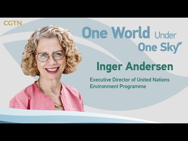 UNEP executive director talks about tackling triple planetary crisis