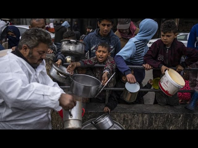 Quarter of Gaza one step from famine as aid trucks looted, says UN