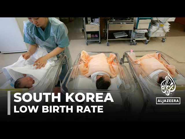 South Korea's low birth rate: Survey blames pressure on young people to compete