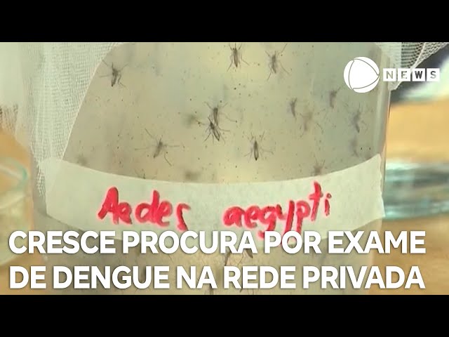 Aumenta procura por teste rápido de dengue na rede privada