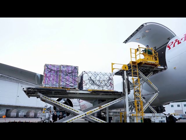 GLOBALink | Over 17,000 tonnes of goods shipped through Xiamen-Sao Paulo air cargo route