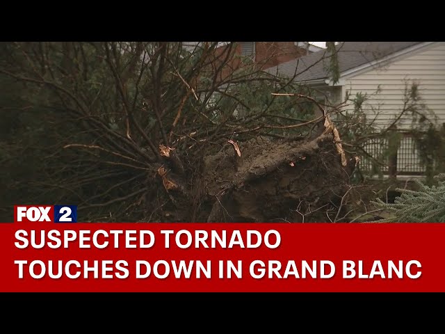 Suspected Grand Blanc tornado rips trees out of ground, damages homes