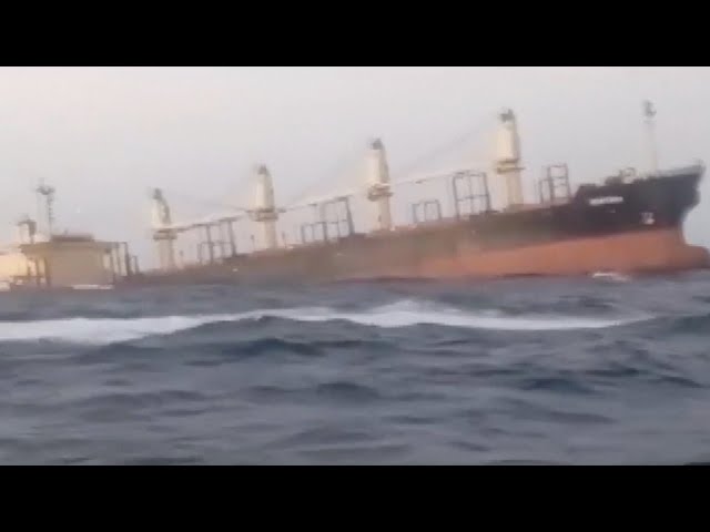 Yemeni gov't warns oil leaking ship could cause disaster in Red Sea