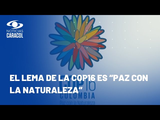 Conozca el logo de la COP16: la flor de Inírida, especie endémica de Colombia