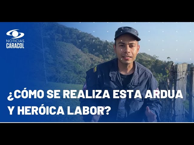 ¿Cómo es el trabajo de un desminador humanitario de las Fuerzas Militares de Colombia?