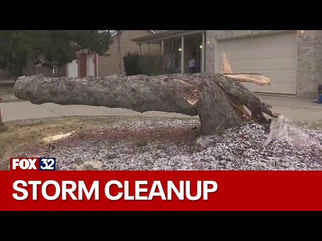 Cleanup begins in Cook County day after violent storms tore through area