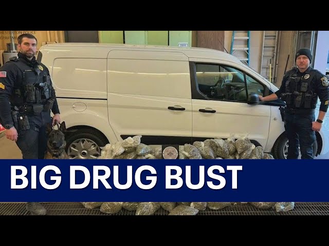 Massive drug bust in Indiana