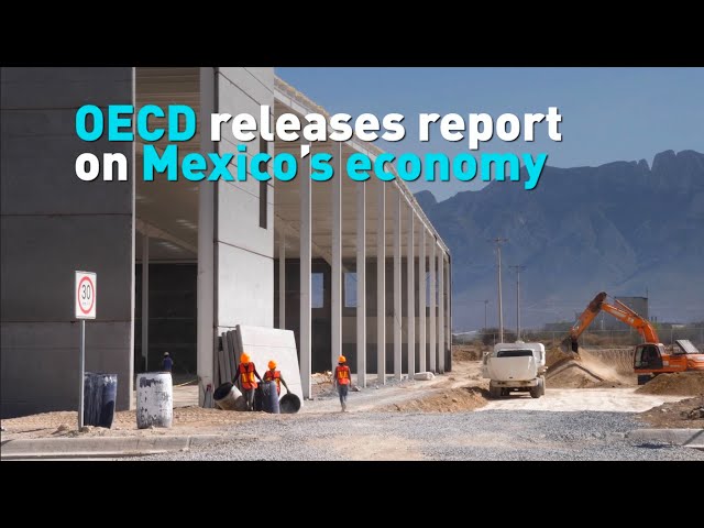 ⁣OECD releases report on Mexico's economy