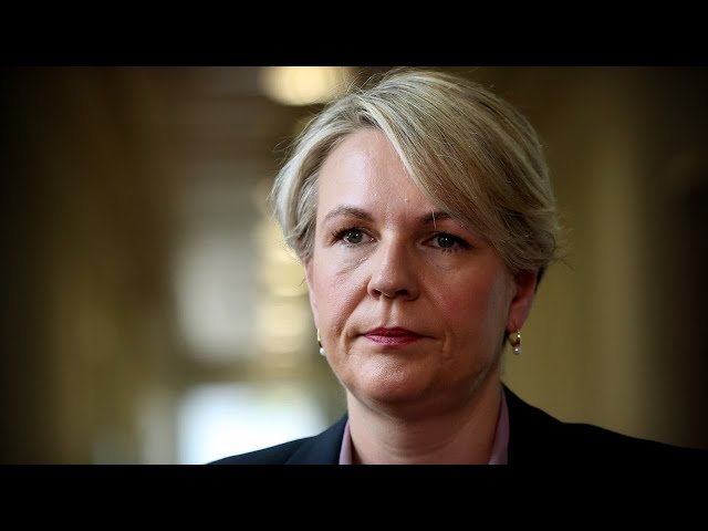 'Traitor': Tanya Plibersek uncompromising on former politician sending secrets overseas