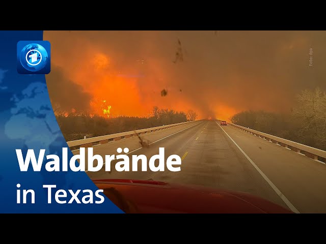 Mehrere Waldbrände in Texas außer Kontrolle