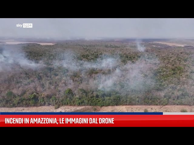 Rogo in Amazzonia, le immagini dal drone