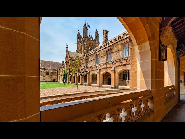 University of Sydney criticised over decision to allow in-class pro-Palestine protests