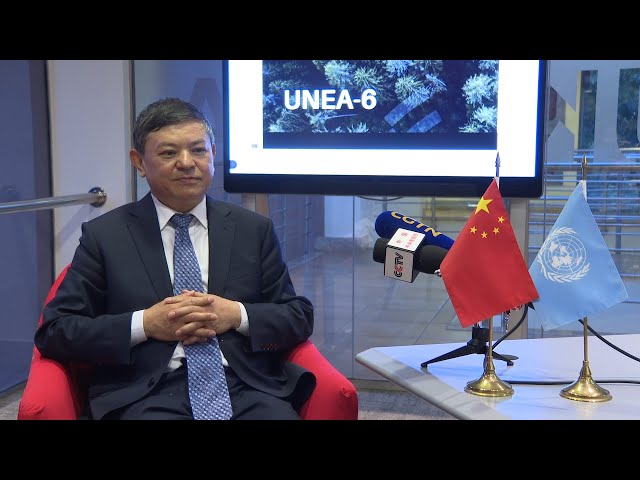 China's ecology minister on the Kunming-Montreal Global Biodiversity Framework