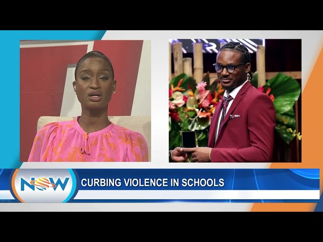 Curbing Violence In Schools