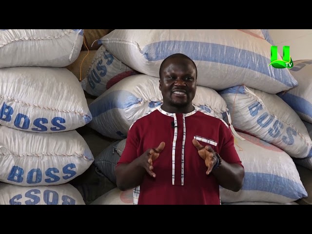 AYEKOO: WE PRODUCE QUALITY GROUND NUT SEEDS  - SARI