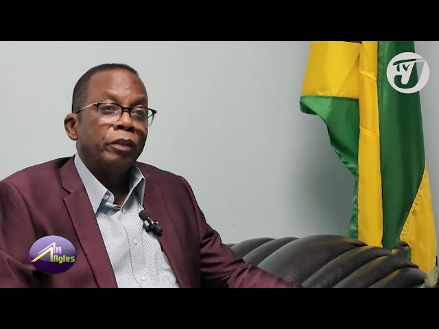 Who won the Jamaica Local Government Election 2024 | TVJ All Angles