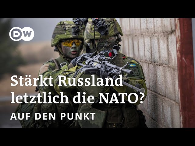 ⁣Schweden und Finnland in der NATO: Eine strategische Niederlage für Russland? | Auf den Punkt