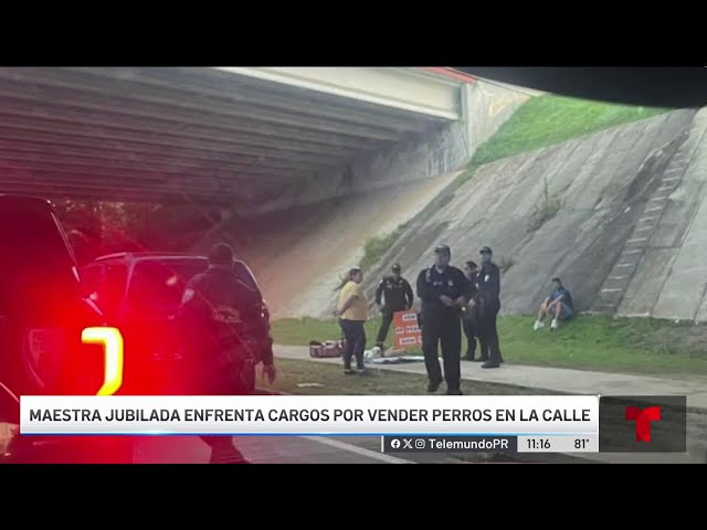 Arrestan a maestra jubilada por vender perritos en la calle