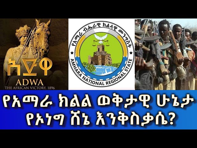 Ethiopia -Esat Amharic News Feb 29 2024