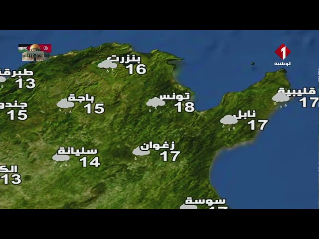 النشرة الجوية ليوم 29 - 02 - 2024