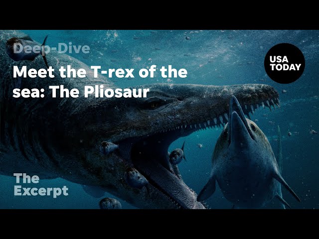 Meet the T-rex of the sea: The Pliosaur | The Excerpt