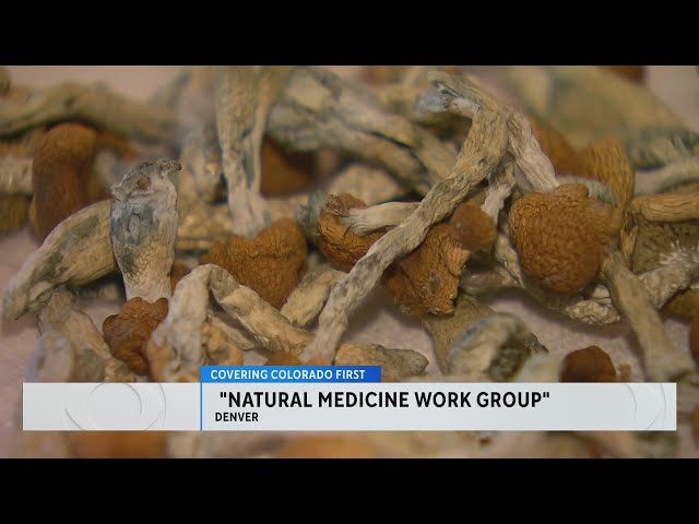 Public input wanted on magic mushrooms in Denver