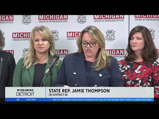 Michigan state representative calls for action amid alleged abuse at mental health facilities